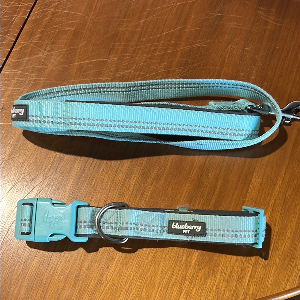 Dog Leash and Collar